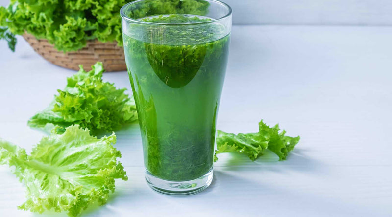 Celery Juice Science: What Research Really Says About Its Benefits