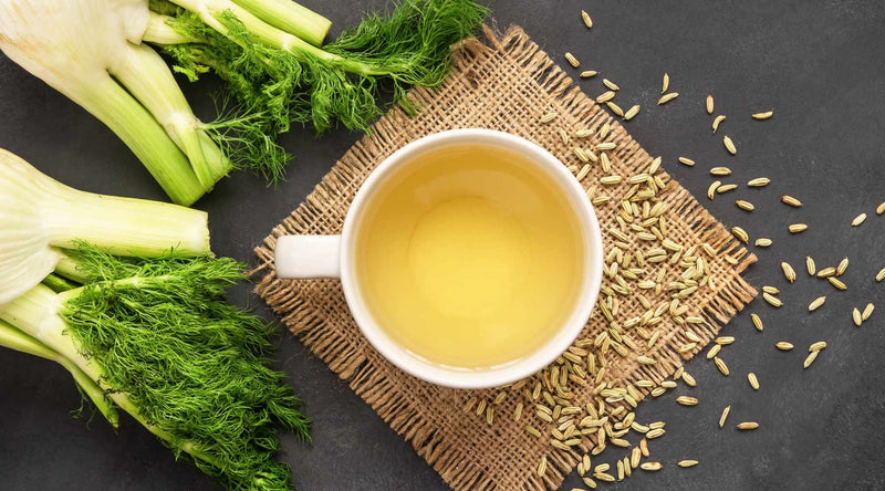 Why Fennel Juice May Be the Key to Better Digestion and Less Bloating?